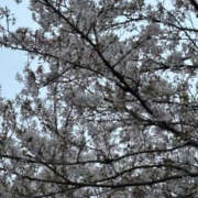 ヒメ日記 2026/04/14 12:00 投稿 うる バッドカンパニー水戸