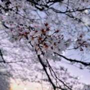 ヒメ日記 2026/04/08 21:52 投稿 地元/らん セレブクエスト－Iwaki－