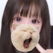 ここね 雪だけどあったかくして待ってるね ハピネス札幌