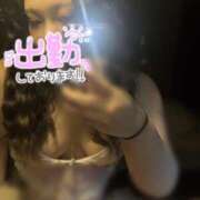 ヒメ日記 2026/02/11 16:06 投稿 マイ ちゃんこ本厚木店