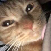 ヒメ日記 2026/02/04 10:00 投稿 のりこ 逢って30秒で即尺