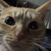 ヒメ日記 2026/02/05 09:30 投稿 のりこ 逢って30秒で即尺