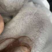 ヒメ日記 2026/02/07 08:00 投稿 のりこ 逢って30秒で即尺