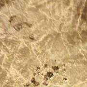 ヒメ日記 2026/04/22 10:15 投稿 のりこ 逢って30秒で即尺