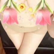 ヒメ日記 2026/08/19 09:15 投稿 のりこ 逢って30秒で即尺