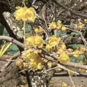 ヒメ日記 2026/02/26 23:36 投稿 志摩 MCロイヤル