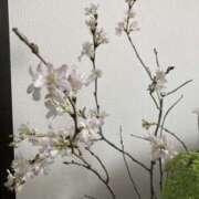 ヒメ日記 2026/03/18 08:56 投稿 志摩 MCロイヤル