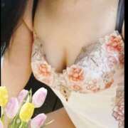 ヒメ日記 2026/04/12 00:26 投稿 志摩 MCロイヤル