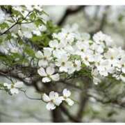 ヒメ日記 2026/04/21 08:26 投稿 志摩 MCロイヤル