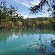 ヒメ日記 2026/01/10 23:03 投稿 寺泉冷音（即〇痴女） Eternity～若妻の悪戯～（エタニティー）