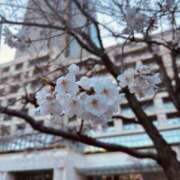 だりあ おはようございます 奥鉄オクテツ神奈川店（デリヘル市場グループ）