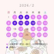 ヒメ日記 2026/02/02 12:14 投稿 ひまわり【A〇並み潮吹きOL】 STELLA TOKYO－ステラトウキョウ－