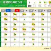 ヒメ日記 2026/03/21 00:38 投稿 ひまわり【A〇並み潮吹きOL】 STELLA TOKYO－ステラトウキョウ－