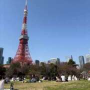 ヒメ日記 2026/03/22 14:12 投稿 ひまわり【A〇並み潮吹きOL】 STELLA TOKYO－ステラトウキョウ－