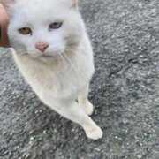 雛形さら（ひながたさら） 年末に会いに来てくれたマリターレのTさん😓 桃色奥様(佐賀)