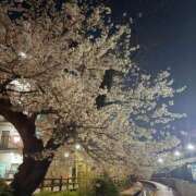 月/つき 本日21-23のみ🈳♡ 五反田アネージュ（ユメオト）