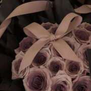 ヒメ日記 2025/12/22 21:52 投稿 まり 五反田人妻ヒットパレード（シンデレラグループ）