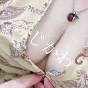 ヒメ日記 2026/04/08 14:03 投稿 藤川(ふじかわ) 八王子人妻城