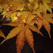 ヒメ日記 2025/12/20 23:55 投稿 りむる ばつぐん素人プロダクション