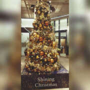 ヒメ日記 2025/12/24 18:07 投稿 あやの 奥様 仙台人妻セレブリティー