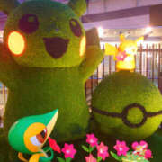 ヒメ日記 2026/02/17 16:05 投稿 あやの 奥様 仙台人妻セレブリティー