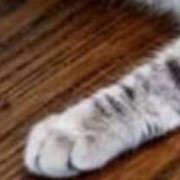 ヒメ日記 2026/03/01 15:21 投稿 あやの 奥様 仙台人妻セレブリティー