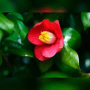 ヒメ日記 2026/03/13 15:13 投稿 あやの 奥様 仙台人妻セレブリティー