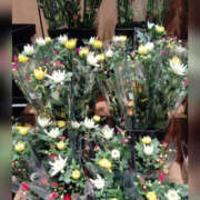 ヒメ日記 2026/03/22 17:16 投稿 あやの 奥様 仙台人妻セレブリティー