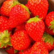 ヒメ日記 2026/03/27 14:01 投稿 あやの 奥様 仙台人妻セレブリティー