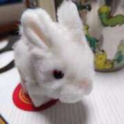 ヒメ日記 2025/12/22 12:35 投稿 さわ 丸妻 厚木店