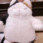 ヒメ日記 2026/02/14 18:47 投稿 さわ 丸妻 厚木店