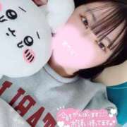 ヒメ日記 2025/12/16 16:20 投稿 なえ 石庭