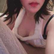 ヒメ日記 2025/12/16 20:20 投稿 なえ 石庭