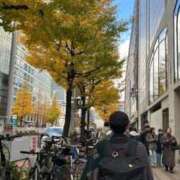 ヒメ日記 2025/12/17 12:23 投稿 なえ 石庭