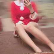 ヒメ日記 2025/12/17 14:10 投稿 なえ 石庭