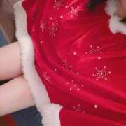 ヒメ日記 2025/12/19 12:50 投稿 なえ 石庭