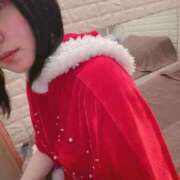 ヒメ日記 2025/12/20 08:50 投稿 なえ 石庭