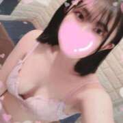 ヒメ日記 2025/12/23 10:00 投稿 なえ 石庭