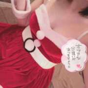 ヒメ日記 2025/12/24 09:54 投稿 なえ 石庭