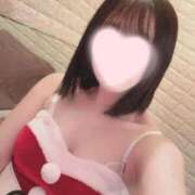 ヒメ日記 2025/12/24 16:30 投稿 なえ 石庭