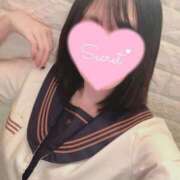 ヒメ日記 2025/12/26 17:20 投稿 なえ 石庭