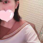 ヒメ日記 2025/12/27 11:50 投稿 なえ 石庭