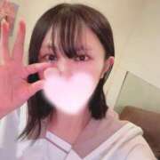 ヒメ日記 2025/12/31 13:01 投稿 なえ 石庭