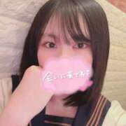 ヒメ日記 2026/02/13 08:10 投稿 なえ 石庭