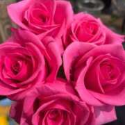 ヒメ日記 2026/02/14 16:34 投稿 なえ 石庭