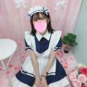 ヒメ日記 2026/02/16 10:11 投稿 なえ 石庭