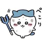 ヒメ日記 2026/02/16 13:50 投稿 なえ 石庭