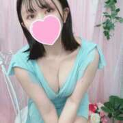 ヒメ日記 2026/02/16 20:03 投稿 なえ 石庭