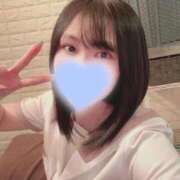 ヒメ日記 2026/02/20 11:00 投稿 なえ 石庭