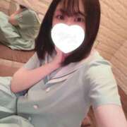 ヒメ日記 2026/02/21 15:30 投稿 なえ 石庭